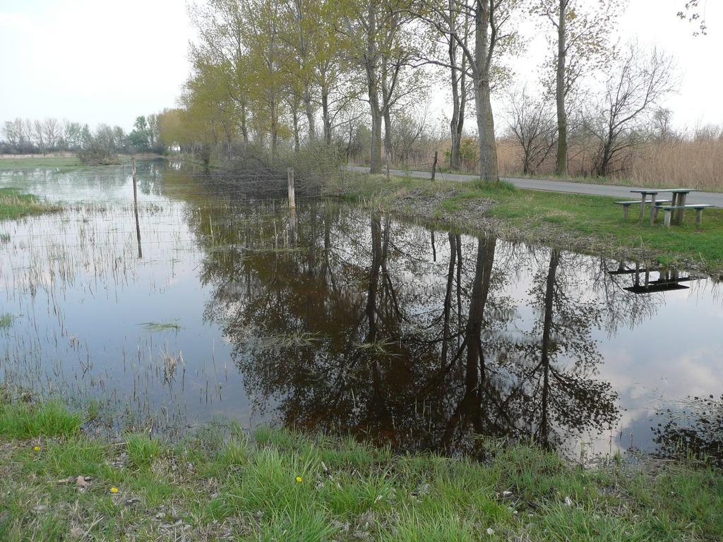Haus Renee Bed and Breakfast Podersdorf am See Εξωτερικό φωτογραφία