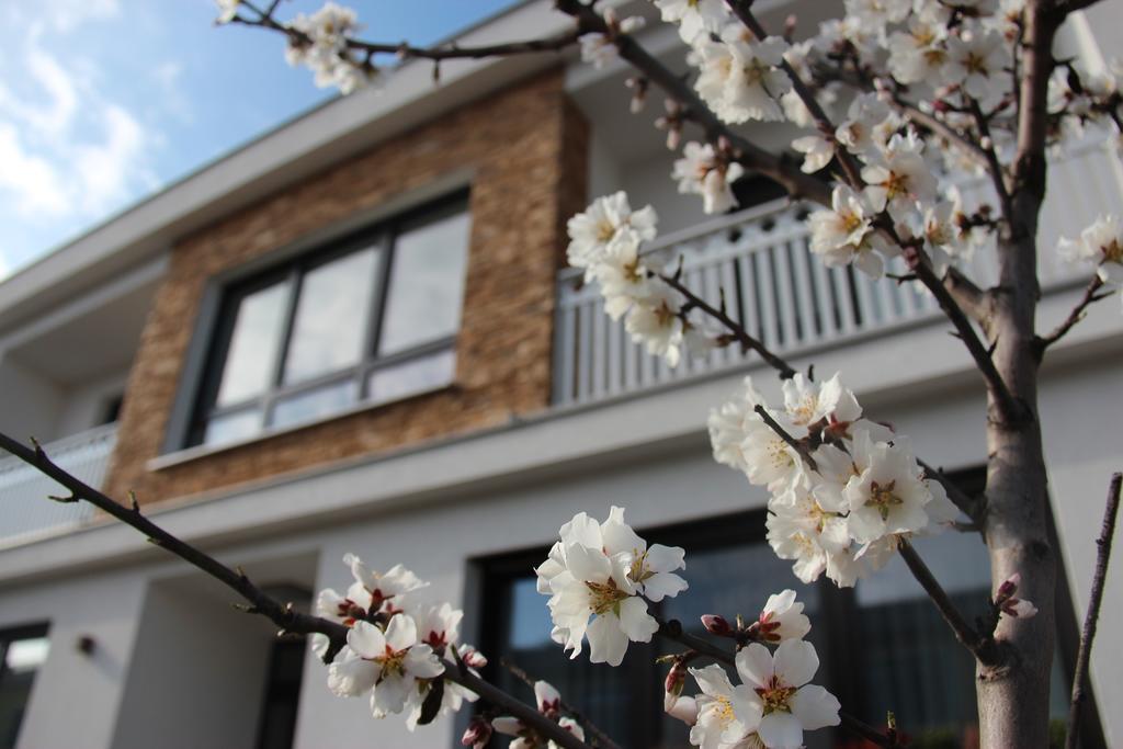 Haus Renee Bed and Breakfast Podersdorf am See Εξωτερικό φωτογραφία